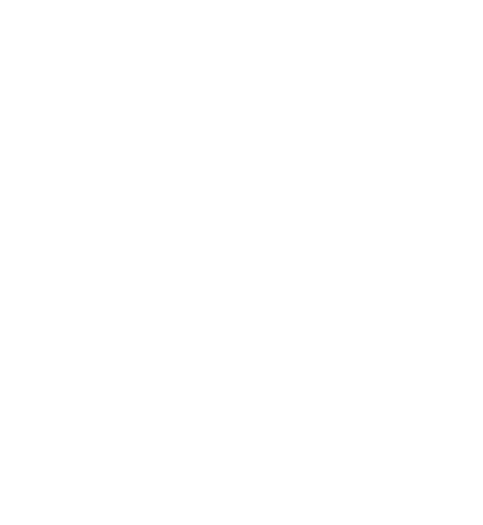 prev.svg